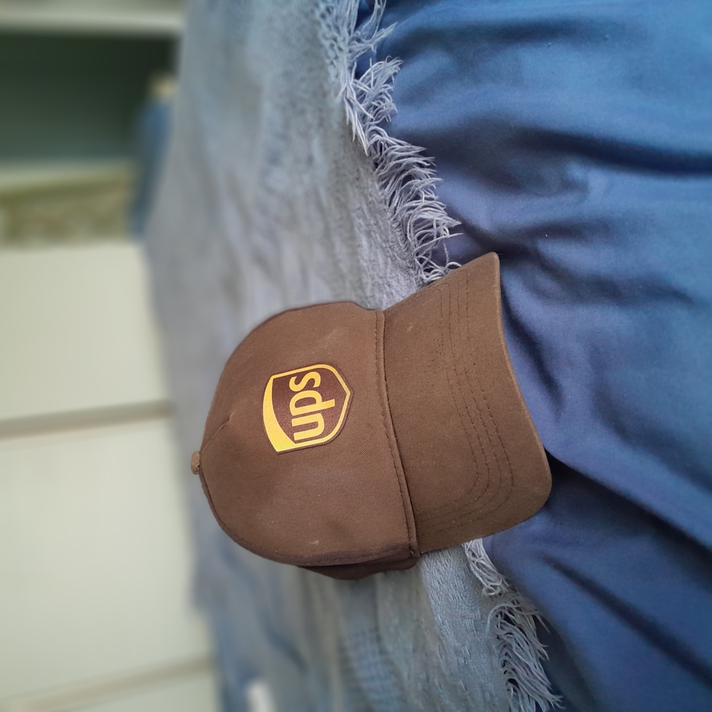 Brown Logo Cap